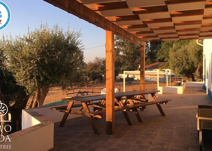 Almojanda 3 Olive Tree