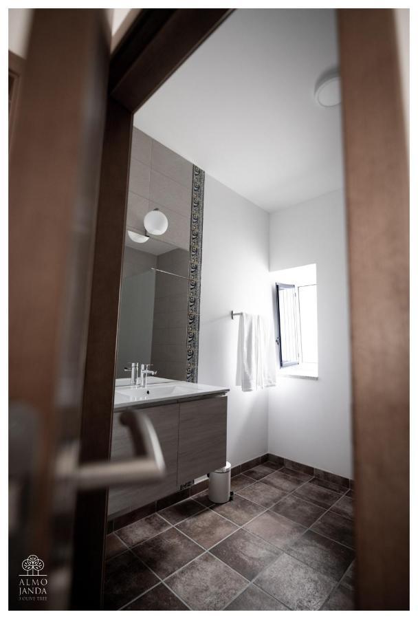 Almojanda 3 Olive Tree Farm stay