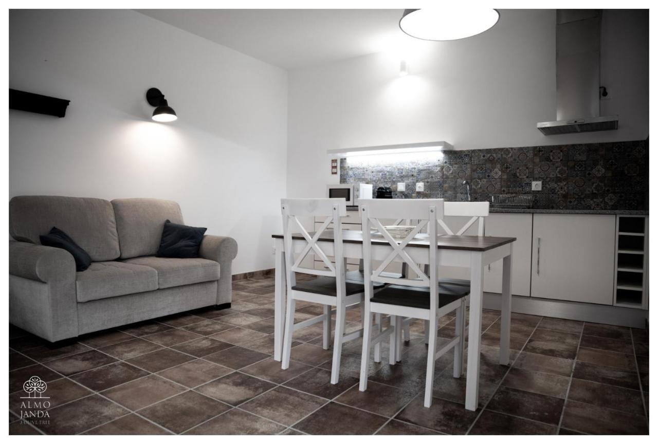 Almojanda 3 Olive Tree Farm stay