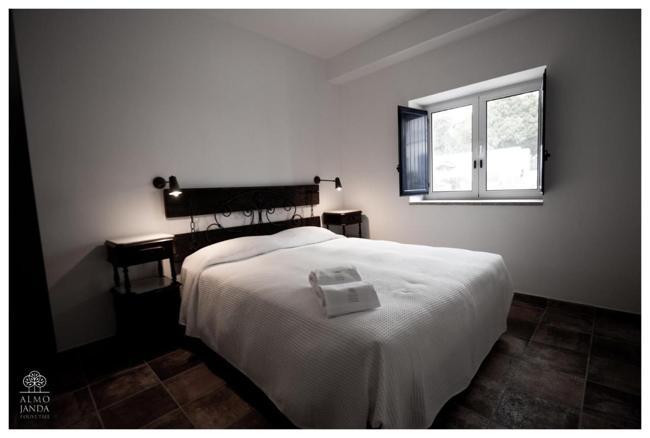 Almojanda 3 Olive Tree Farm stay