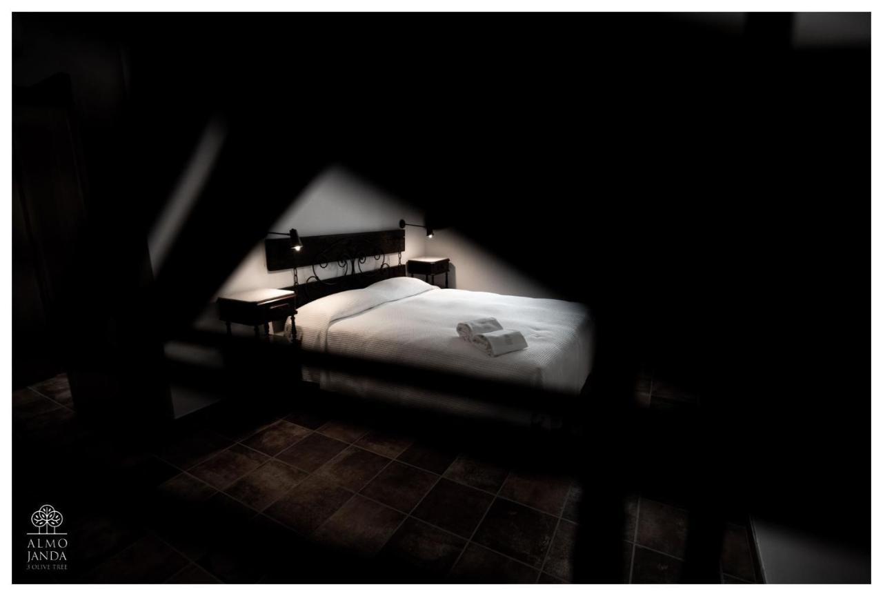Almojanda 3 Olive Tree Farm stay *