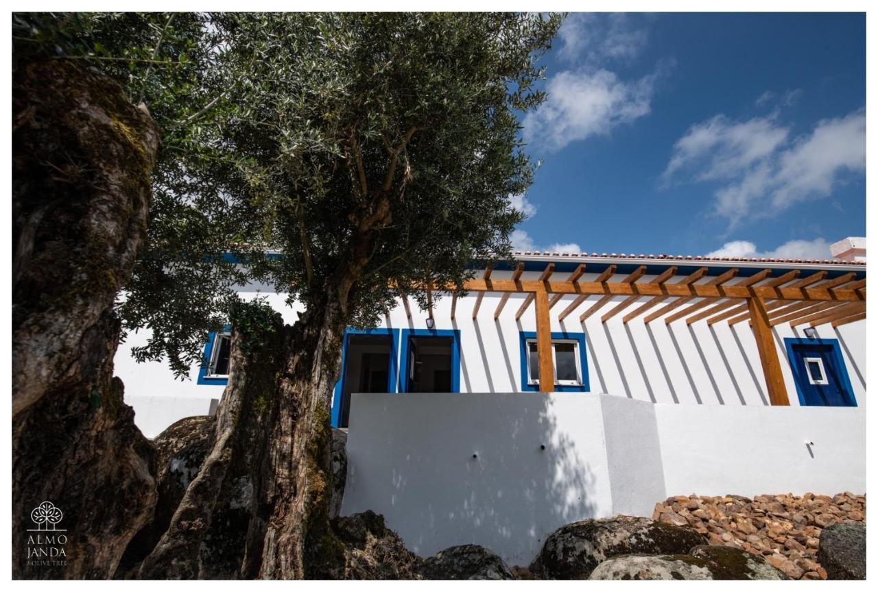 Farm stay Almojanda 3 Olive Tree Fortios