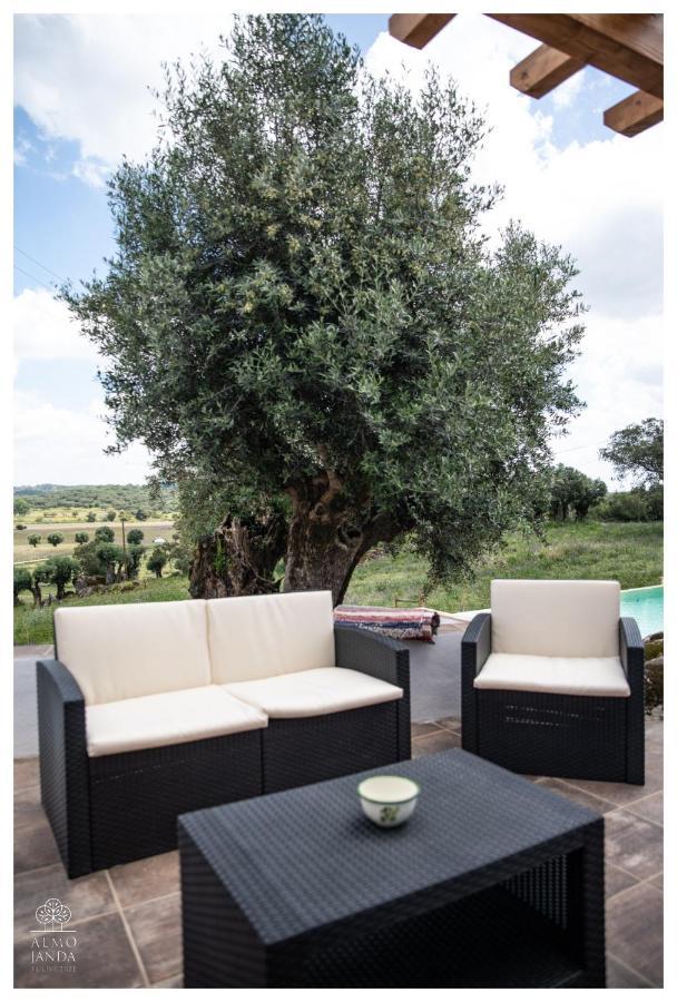 Almojanda 3 Olive Tree Farm stay Fortios