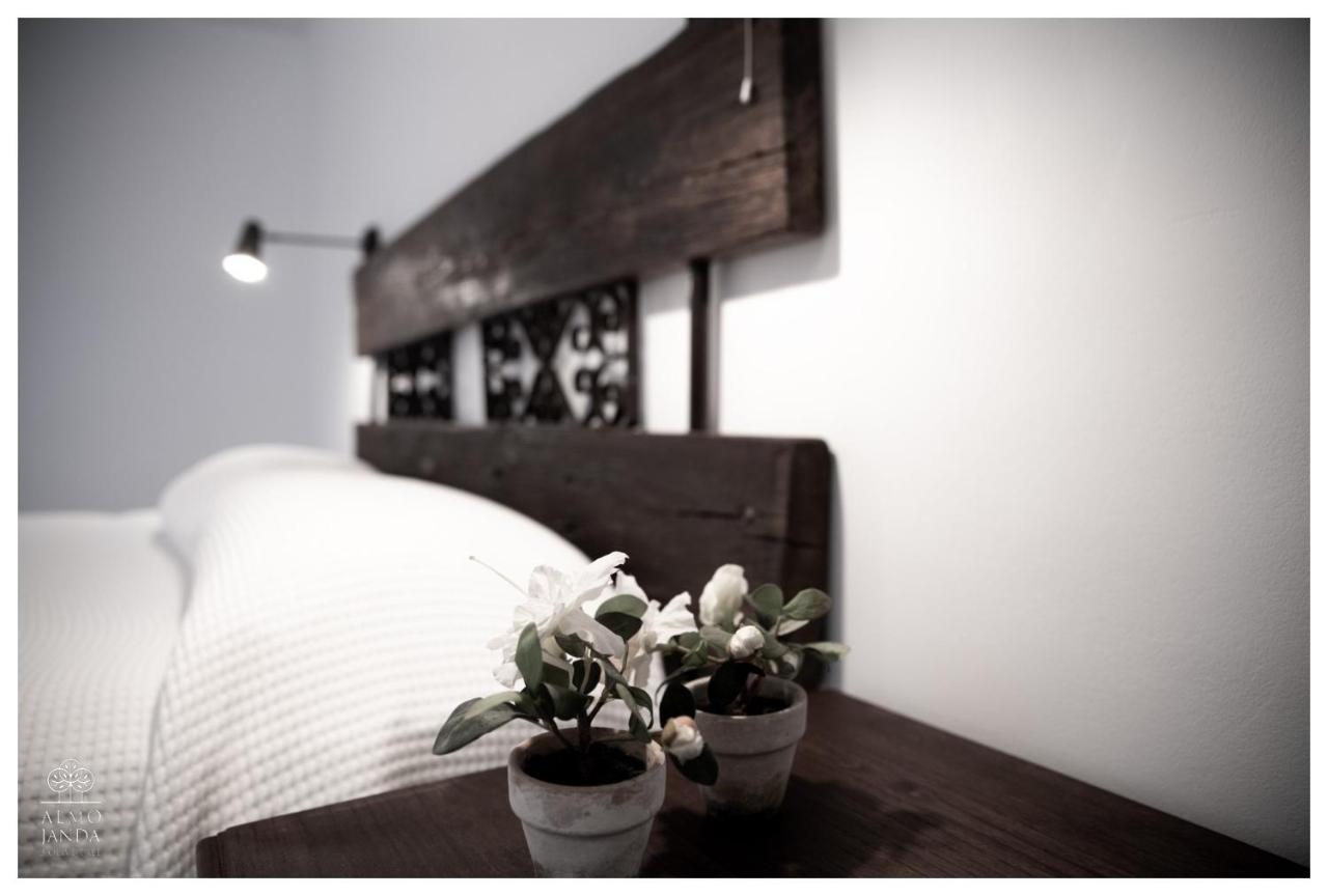 Almojanda 3 Olive Tree Farm stay