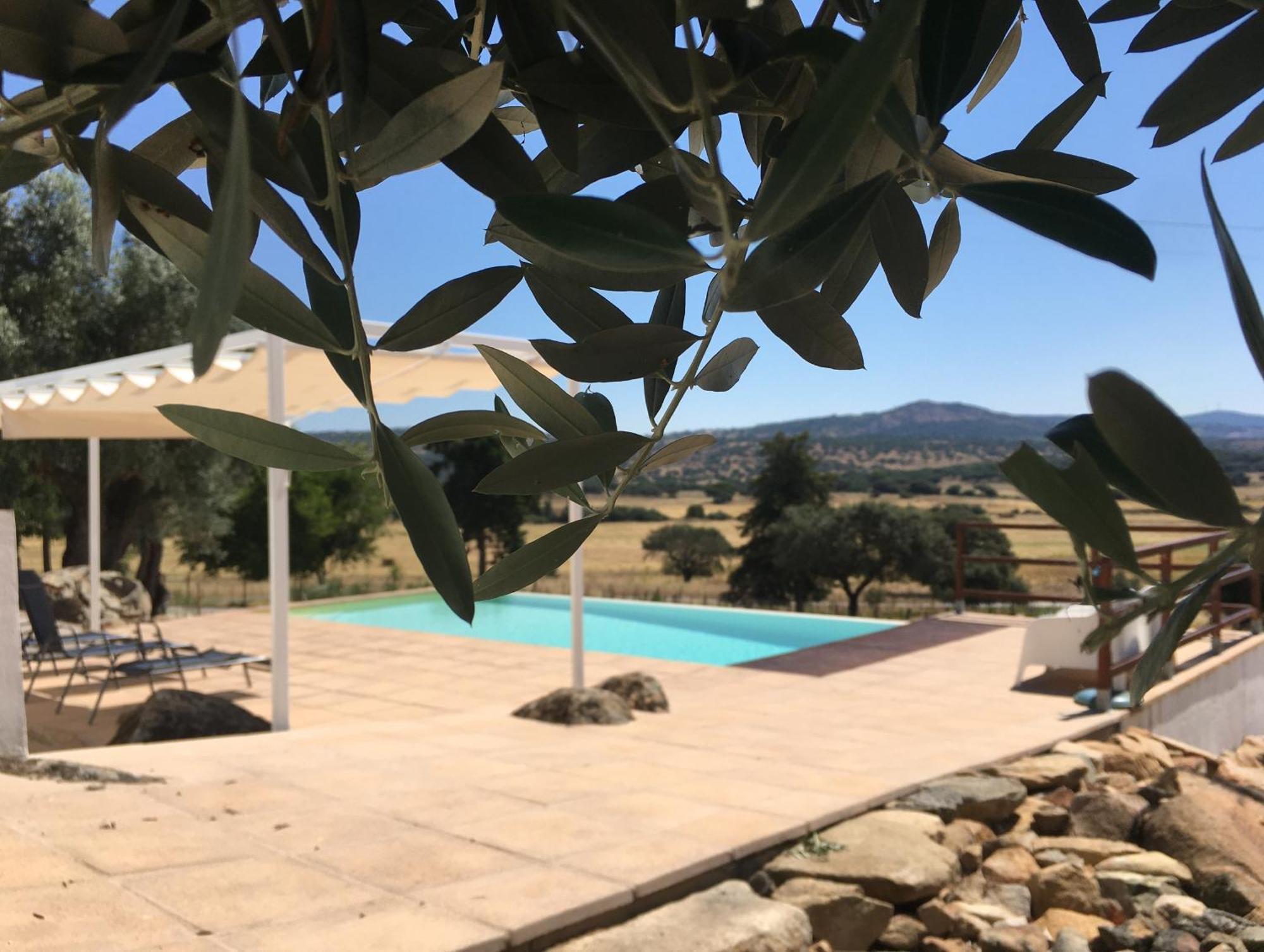 Almojanda 3 Olive Tree Farm stay *